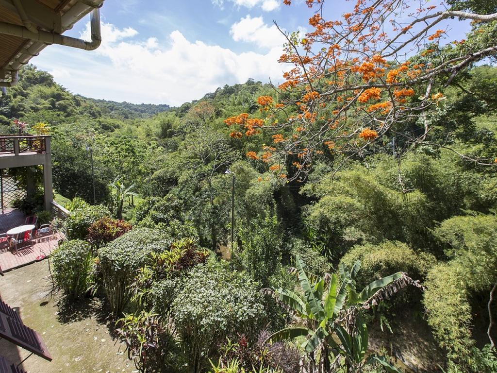 Вилла Cuffie River Nature Retreat Port of Spain Экстерьер фото